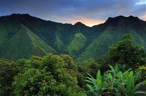 Jungles around Monaco Bay Weyr perhaps? | Cagayan valley - Philippines ...