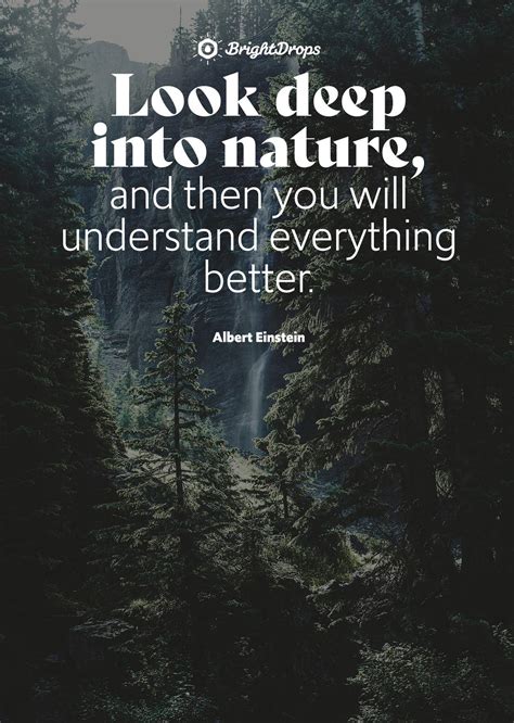 105 Inspirational Nature Quotes on Life and Its Natural Beauty