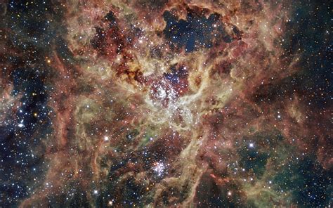 The Tarantula Nebula Space Wallpaper | Space