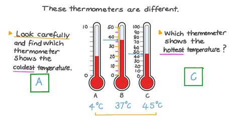 Reading A Thermometer Worksheet – E Street Light