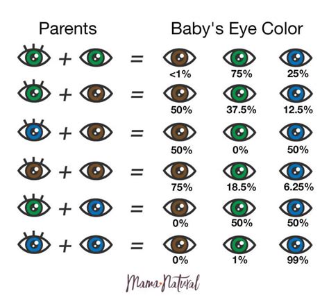 Baby Eye Color Chart | The Best Porn Website