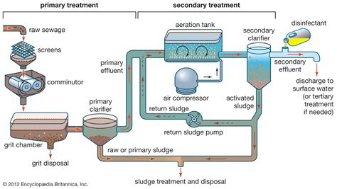 Secondary treatment | sanitation engineering | Britannica