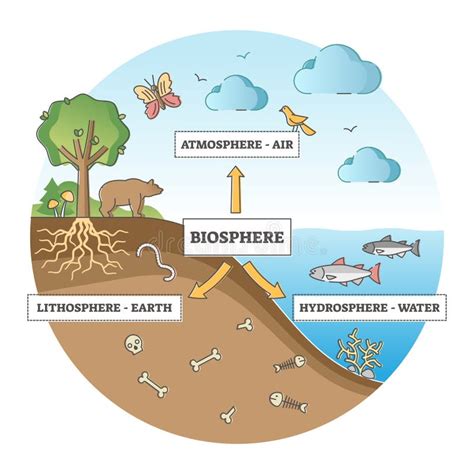 Atmosfera, Biosfera, Idrosfera, Litosfera, Illustrazione Vettoriale ...