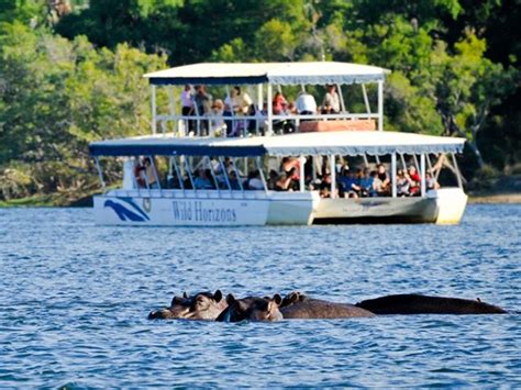 Total 59+ imagen sunset cruise victoria falls - fr.thptnganamst.edu.vn