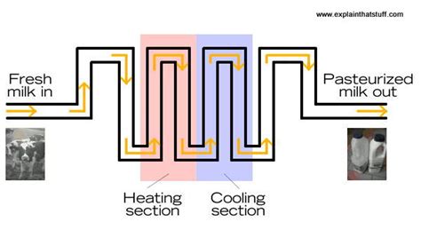 Pasteurization Process - Pasteurization