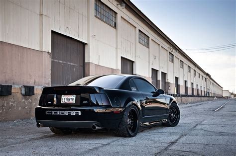 2003 Ford Mustang Cobra Terminator Wallpapers - Wallpaper Cave