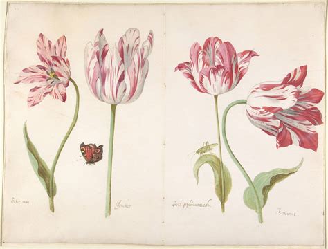 Tracing the Tulip Through 4 Centuries of Art and Design - Galerie