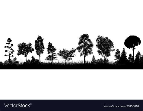 Trees silhouette on white background Royalty Free Vector