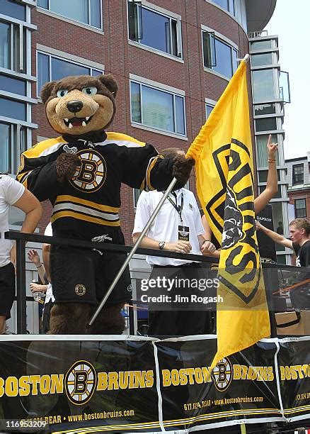 Boston Bruins Mascot Photos and Premium High Res Pictures - Getty Images