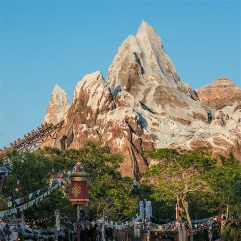 8 Reasons $8,000 Disney VIP Tours Are Worth It - Explore With Erin