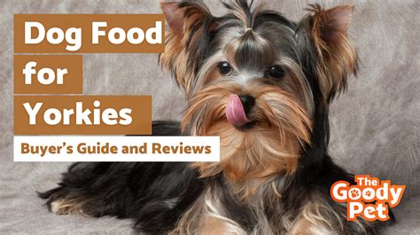 7 Best Dog Food For Yorkies (January 2020) | The Goody Pet