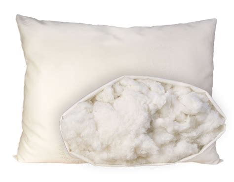 OMI Organic Cotton Pillow - The Century House - Madison, WI | Organic ...