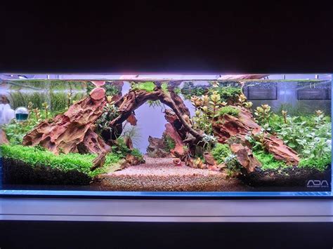 Amazing Clean And Clear Dragon Stone Aquascape Layout | Nature aquarium ...