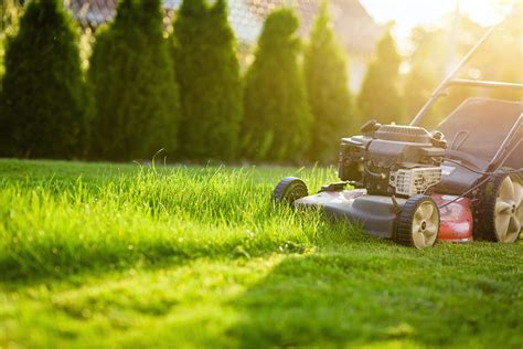 The Importance of Properly Mowing Your Grass this Spring