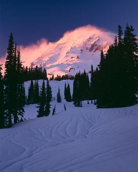 View Of Mt Rainier In Winter, Mt Photograph by Panoramic Images - Fine ...