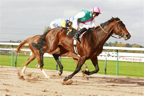 Horse Racing Betting Apps - THE RIDGEWOOD BLOG.