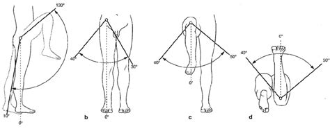 Flexion Extension