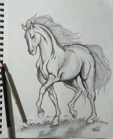 Horse pencil drawing – Artofit