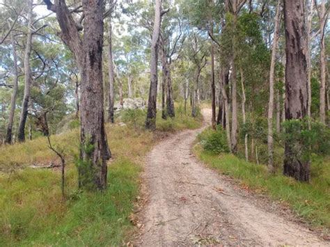 Best Hikes and Trails in Queens Lake Nature Reserve | AllTrails