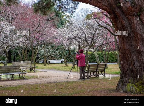 Kyoto Imperial Palace Gardens Stock Photo - Alamy