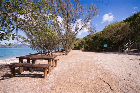 Sandy Bay, South Molle Island | Molle Islands National Park | Parks and ...