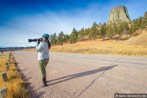 Devils Tower Animals: Close Encounters of the Wild Kind | Travel For ...