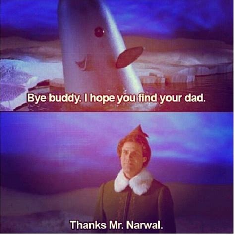 Mr. Narwhal! #byebuddy #elf #movie | Tv show quotes, Elf movie, Good movies