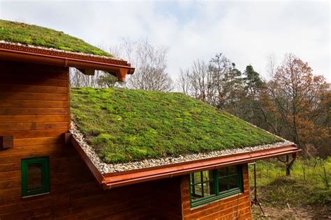 Going Green: 8 Impressive Benefits of a Grass Roof - Residential ...