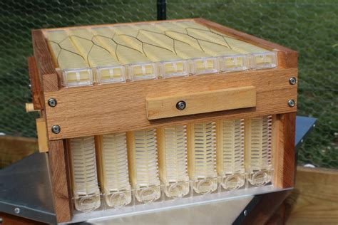 DIY FLOW Hive Plans Honey Super Only the part that holds | Etsy | Flow ...