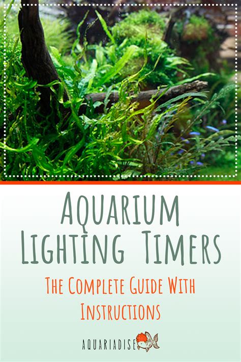 Aquarium Lighting Timers: The Most Reliable Ones Available