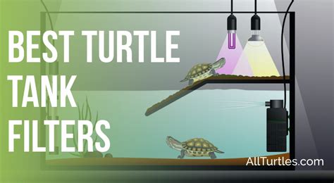 The Best Filter For A Turtle Tank [2020 Review]- All Turtles