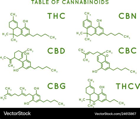 Cannabinoid structure cannabidiol molecular Vector Image