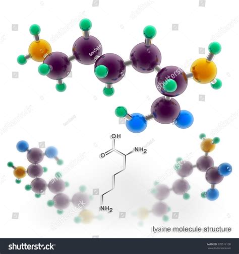 Lysine Molecule Structure. Three Dimensional Model Render Stock Photo ...