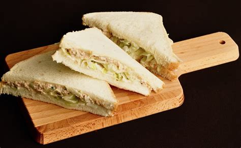 15 Best Tuna Fish Sandwiches – Easy Recipes To Make at Home