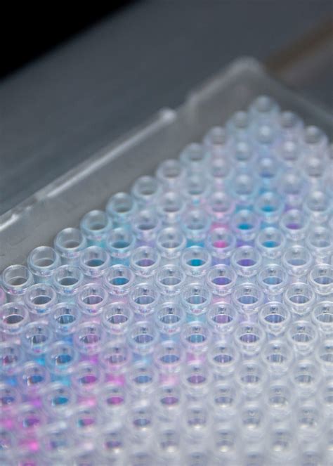 Small Molecule Microarray | Compound Library Screening