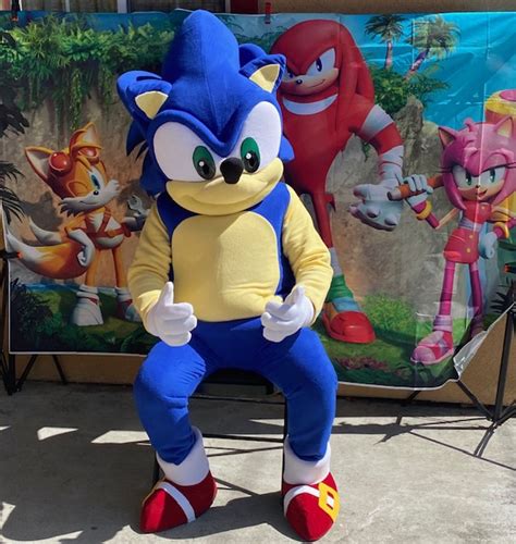 Sonic Mascot Costume Rentals! | Fun Factory Parties