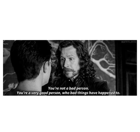 Harry Potter Quotes Sirius Black. QuotesGram