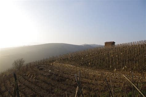 Everything You Need To Know About the Rhone Valley Wine Region ...