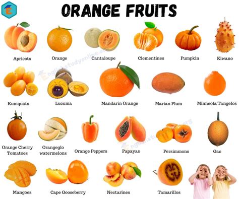 33 Orange Fruits: Best Orange Fruits and Vegetable with ESL Pictures ...