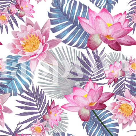 Pink Lotus Flower Botanical Wallpaper - Buy Online | Happywall