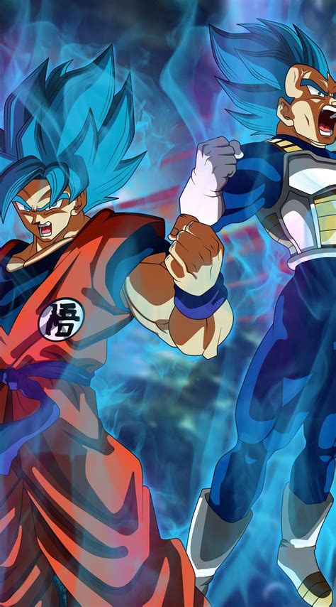 Super Saiyan Blue Goku Y Vegeta Dragon Ball Super Fondo De Pantalla ...