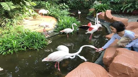 Langkawi: Langkawi Wildlife Park Entry Ticket | GetYourGuide