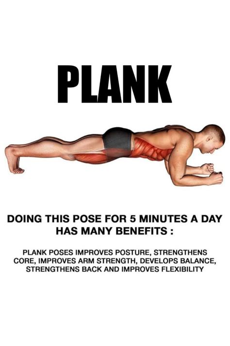 Benefits of plank | Gym workout tips, Plank workout, Daily workout