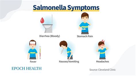 Salmonella: From Drug Resistant To Extensively Drug-Resistant (XDR ...