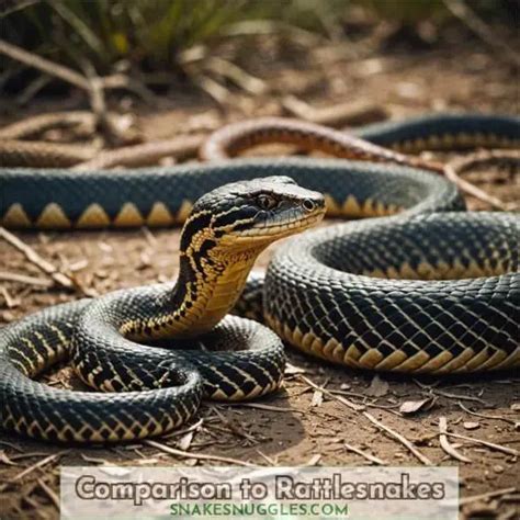 Fox Snake Vs Bull Snake: Unraveling the Mysteries of Two Captivating ...