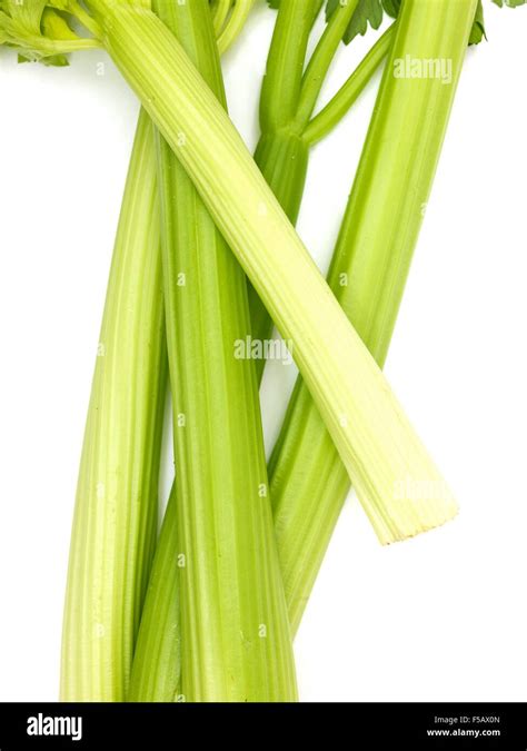 A close up photo of celery stalks Stock Photo - Alamy