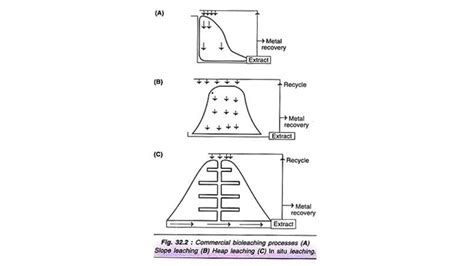 Bioleaching and Process