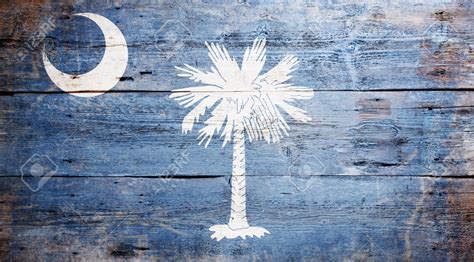 🔥 Free download Flag Of The State Of South Carolina Painted On Grungy ...