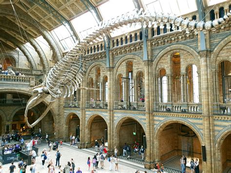 Best Museums in London: 10 free things to do! - Miss Travel Clogs