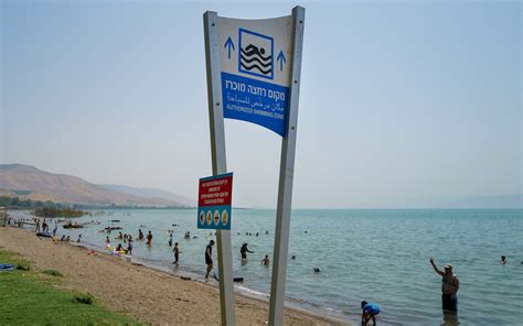 Sea of Galilee thriving, at near maximum capacity | The Times of Israel